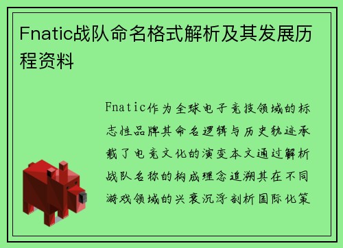 Fnatic战队命名格式解析及其发展历程资料